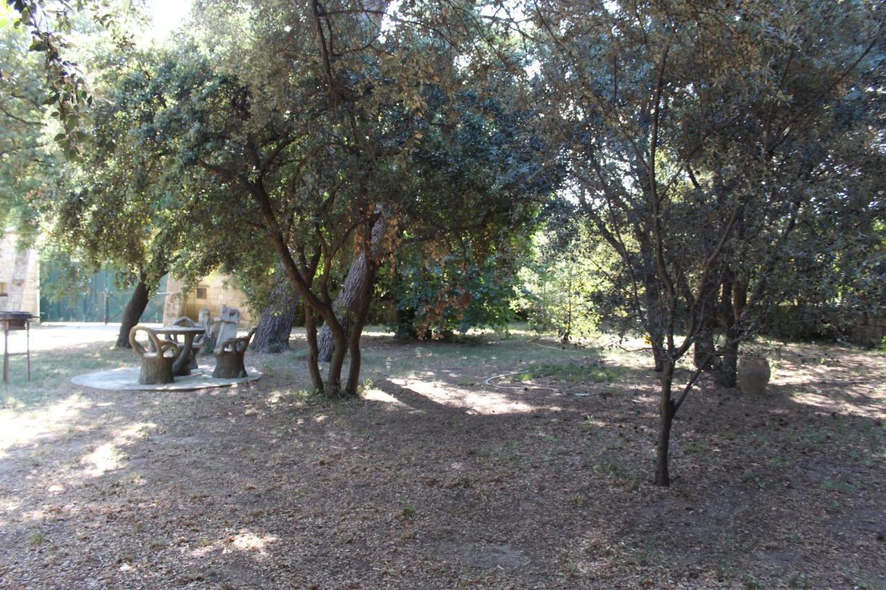 Le Mas De Lucien Entre Arles, Nimes, Avignon. Бокер Экстерьер фото