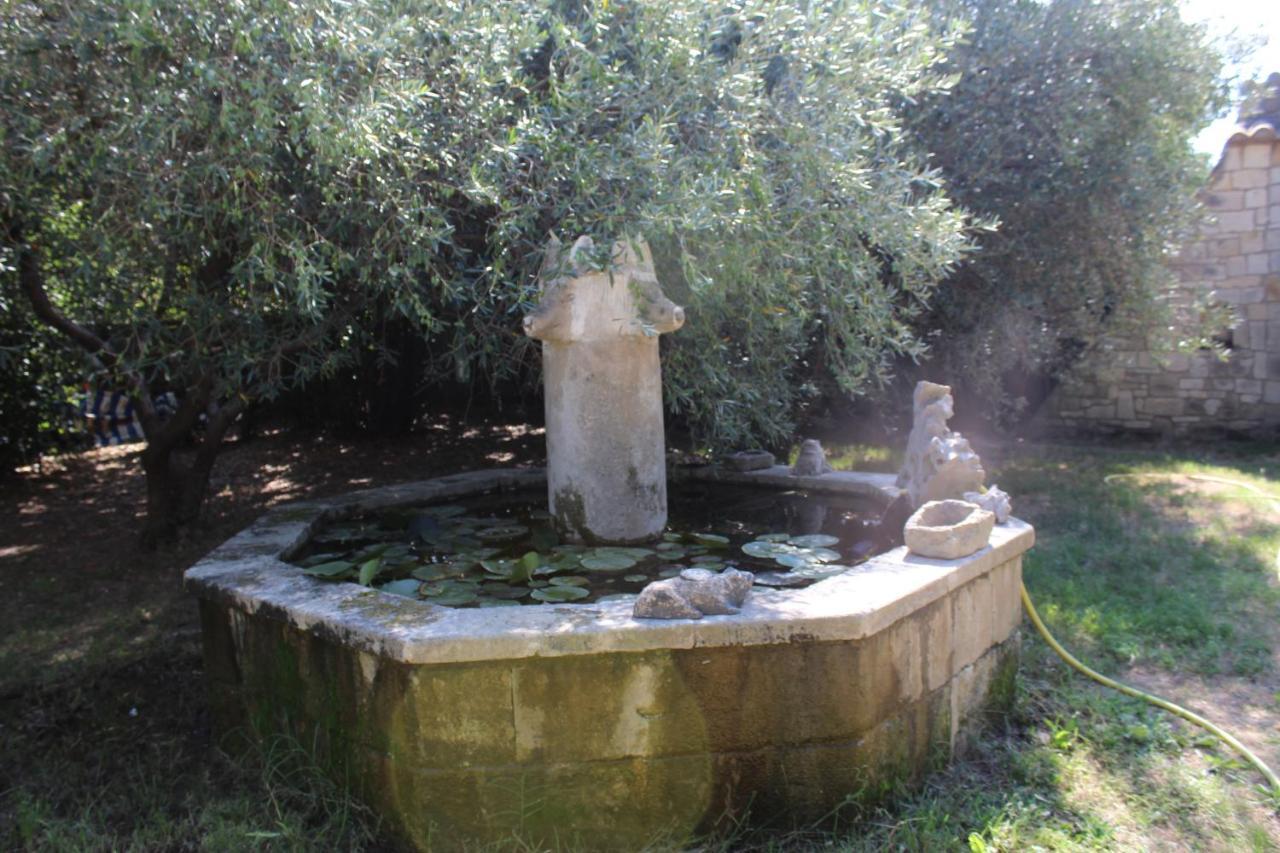 Le Mas De Lucien Entre Arles, Nimes, Avignon. Бокер Экстерьер фото