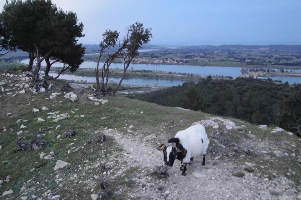 Le Mas De Lucien Entre Arles, Nimes, Avignon. Бокер Экстерьер фото