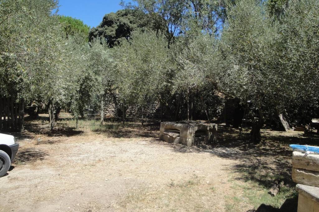 Le Mas De Lucien Entre Arles, Nimes, Avignon. Бокер Экстерьер фото